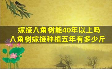 嫁接八角树能40年以上吗 八角树嫁接种植五年有多少斤